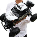 Carrinho de Controle Remoto 4X4 Monster Truck  28cm